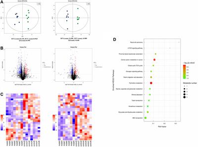 Plasma Metabolites and Gut Microbiota Are Associated With T cell Imbalance in BALB/c Model of Eosinophilic Asthma